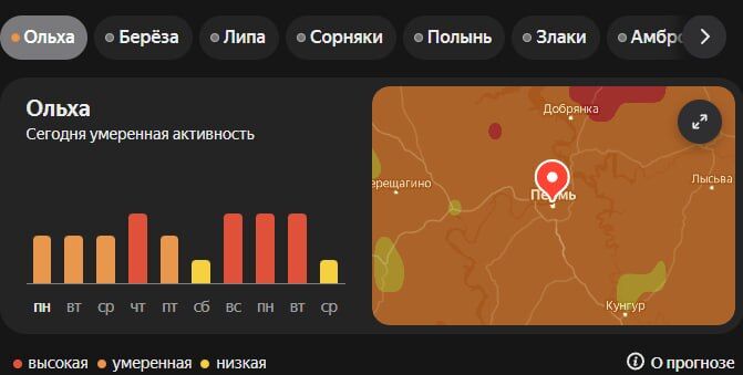 В Пермском крае начался сезон цветения ольхи