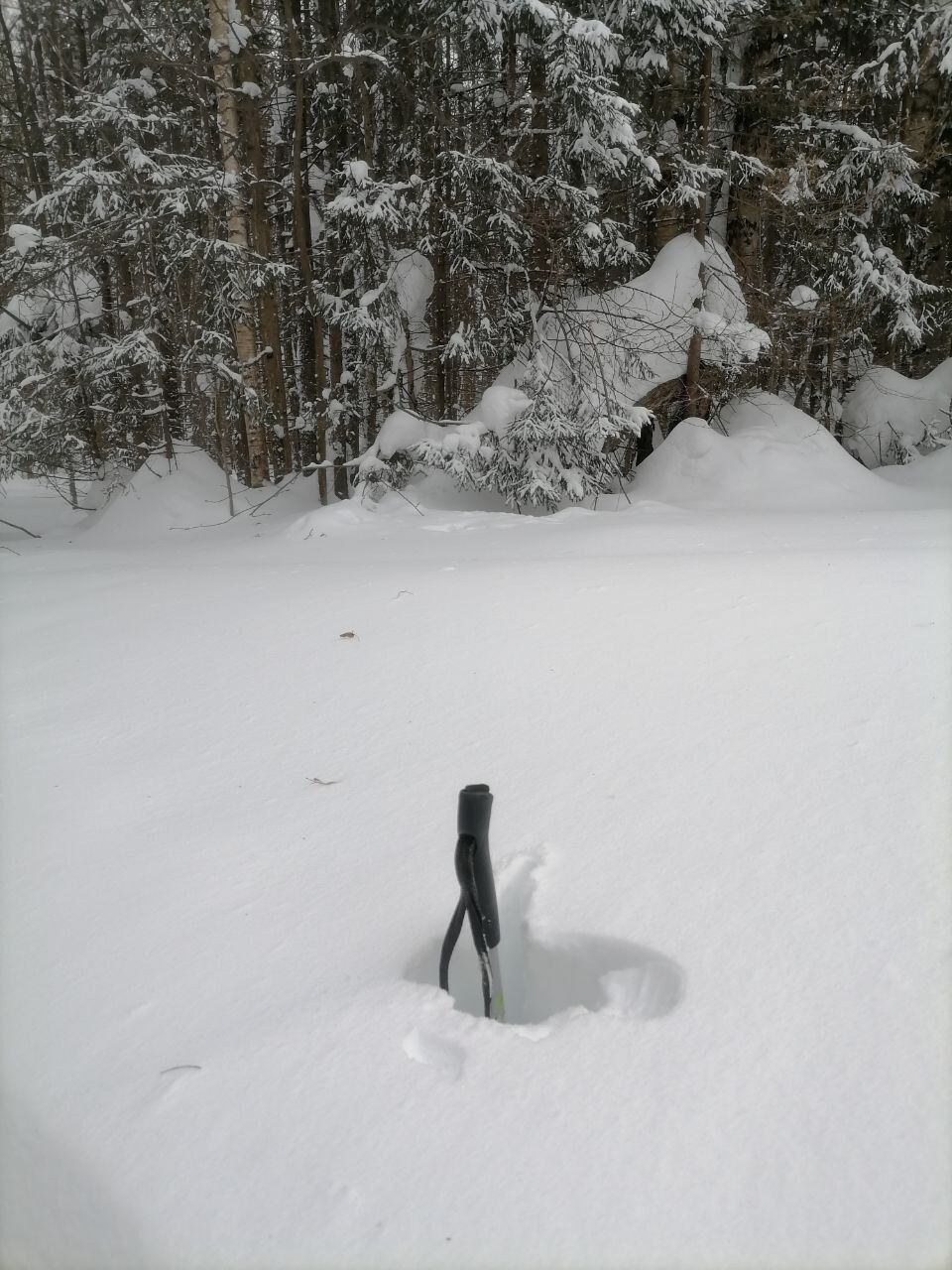 ​Снег в Перми начнёт таять с 12 марта