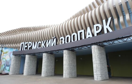Открытия нового зоопарка в Перми ожидают в ближайшее время  