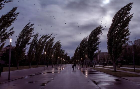 В Пермском крае 27 апреля прогнозируется сильный ветер