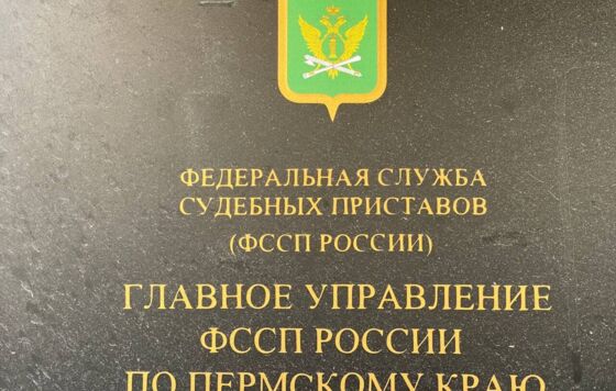 ​В Перми мужчина выплатил штраф в полмиллиона рублей за дачу взятки ветеринару