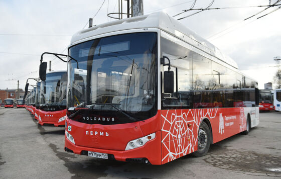 Приложение «Пермский транспорт» может попасть в «белый список» мобильной связи  