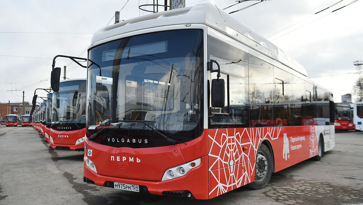 Стало известно, как будет работать общественный транспорт в новогоднюю ночь