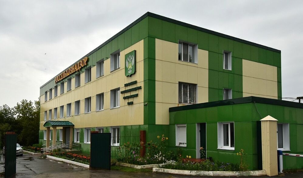 Предприятие в Перми отправило на продажу килограммы сардин из неизвестного сырья