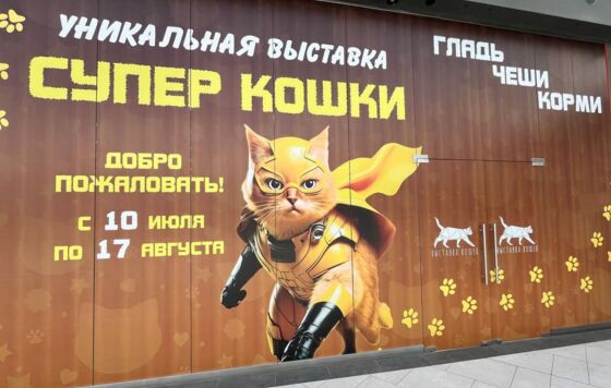 В пермском ТРЦ «Планета» открылась выставка кошек
