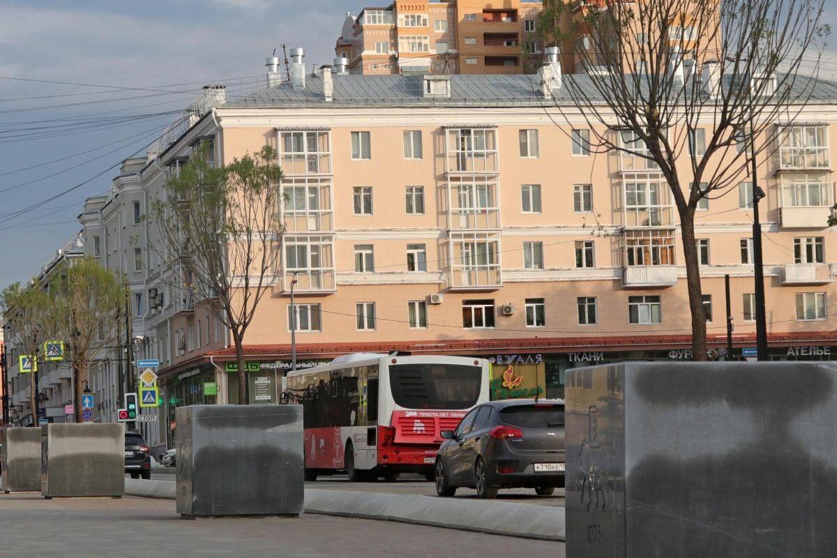 Содержание деревьев у дорог в Перми оценили в 25 миллионов