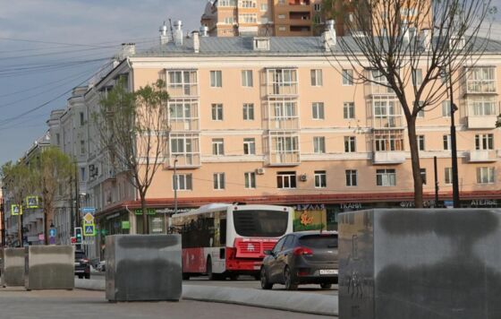 Содержание деревьев у дорог в Перми оценили в 25 миллионов