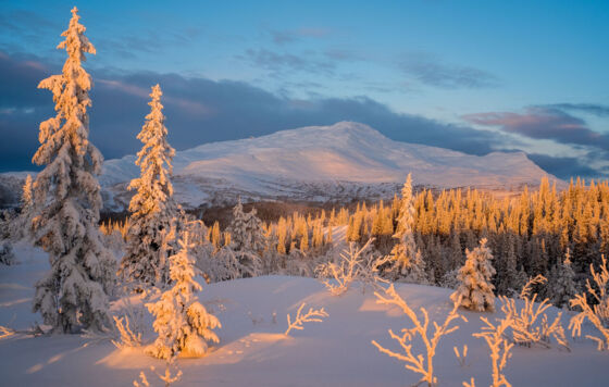 Резкое похолодание ждёт прикамцев с 27 ноября