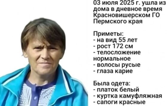Вторые сутки волонтёры ищут в Пермском крае заблудившуюся в лесу женщину