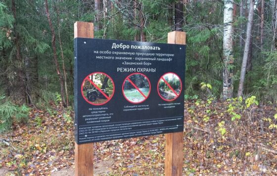 В Прикамье могут появиться новые особо охраняемые природные территории 