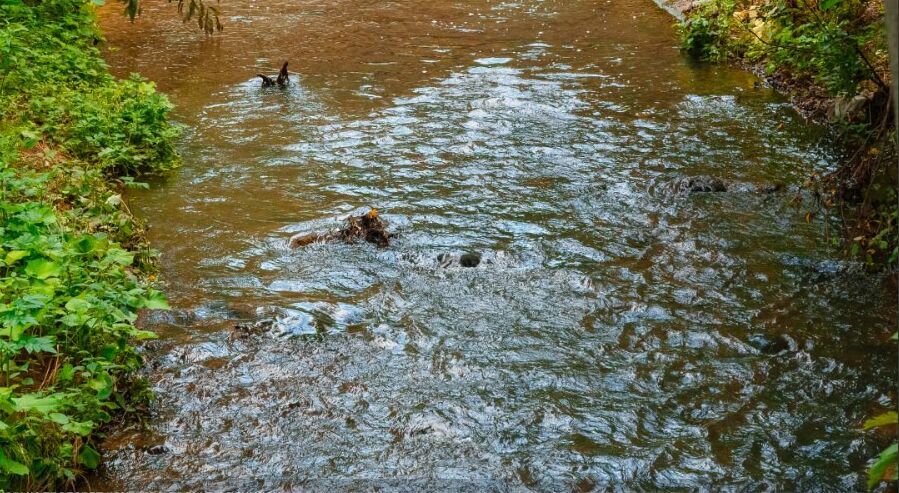 В Перми проверят качество воды в родниках