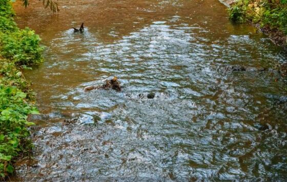 В Перми проверят качество воды в родниках