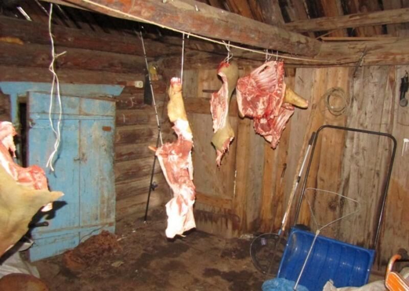 Прикамец искал снасти, но в итоге украл мясо у знакомой