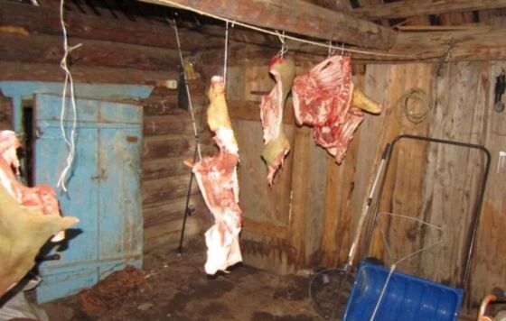 Прикамец искал снасти, но в итоге украл мясо у знакомой