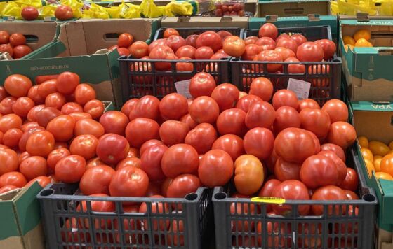 В августе 2025 года цены на продукты в Пермском крае снизились на 0,54%