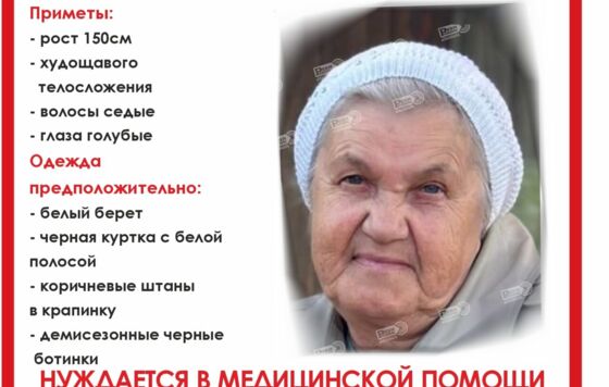 В Пермском крае ищут пропавшую 85-летнюю пенсионерку