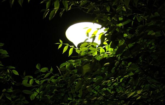 На поставку уличных светильников в Перми выделено 52 млн рублей