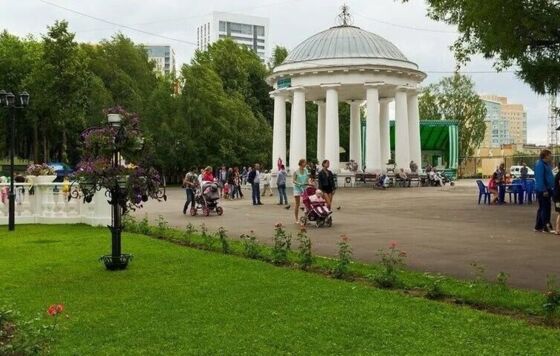 ​В саду имени Горького в Перми заменят 17 деревьев 