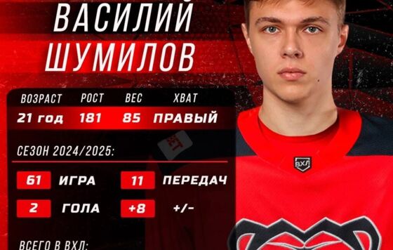 Состав пермского «Молота» пополнил защитник Василий Шумилов