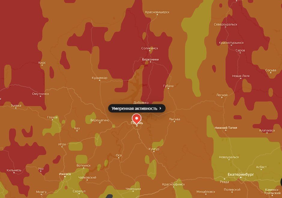 В Пермском крае начался сезон цветения ольхи