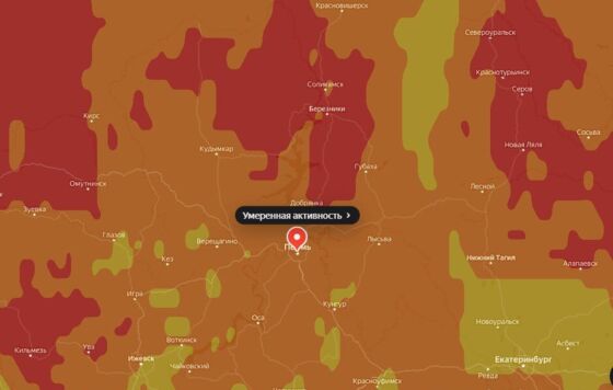 В Пермском крае начался сезон цветения ольхи