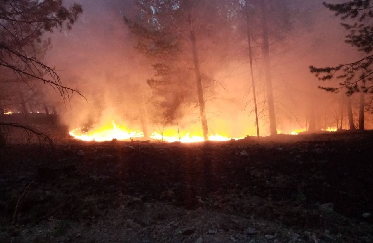 В Пермском крае введён пожароопасный сезон