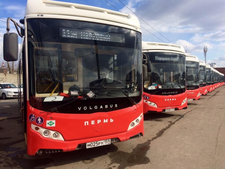 В Пермь прибыли все автобусы Volgabus для «Пермгорэлектротранса»