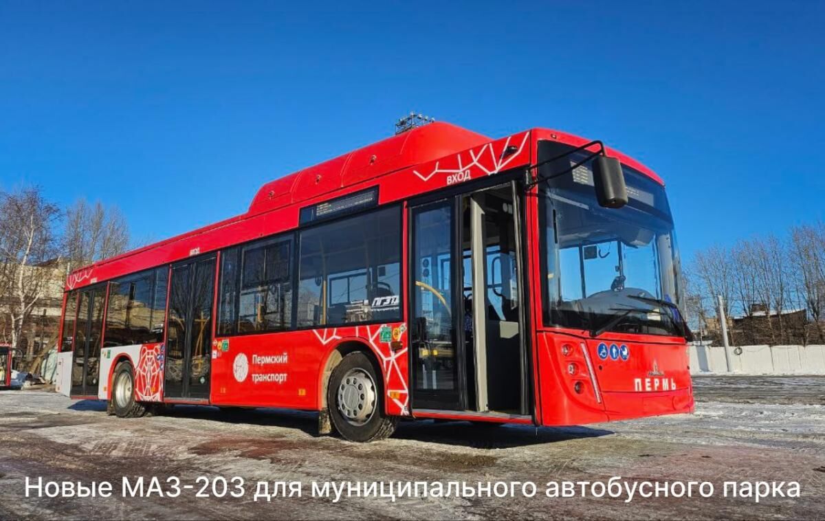 В Пермь прибыли пять автобусов МАЗ-203