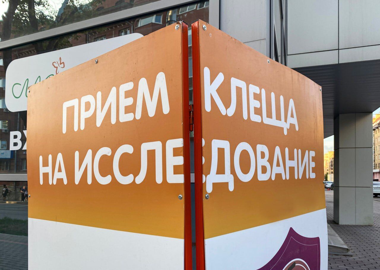 С начала сезона из-за укусов клещей пострадали 16,3 тысячи жителей Прикамь