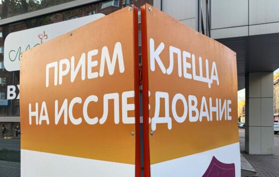 С начала сезона из-за укусов клещей пострадали 16,3 тысячи жителей Прикамь