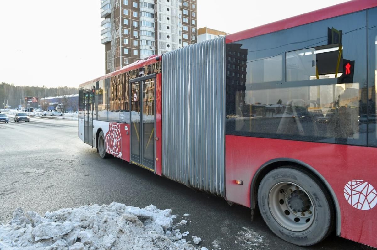 Глава СКР заинтересовался высадкой из автобуса 11-летнего школьника в Прикамье 