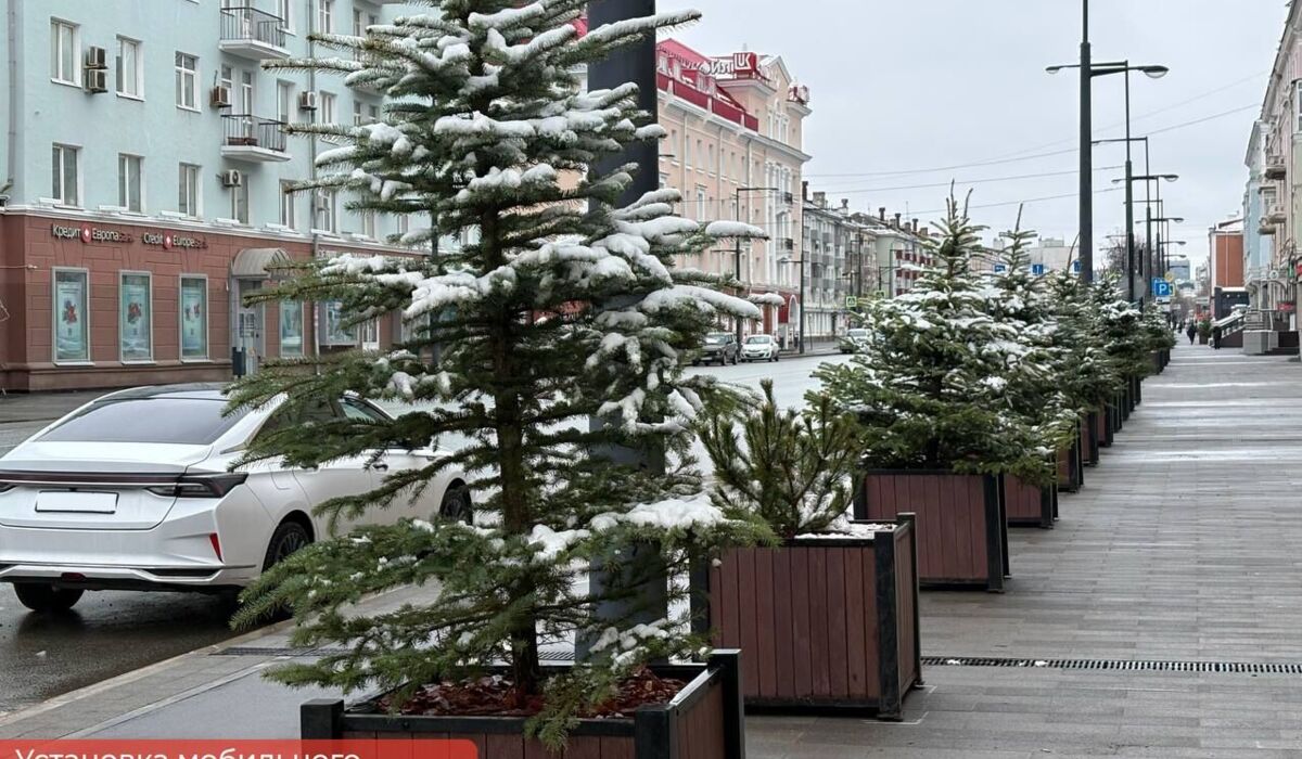 ​В Перми начали устанавливать кашпо с деревьями