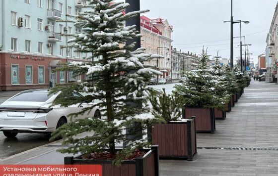 ​В Перми начали устанавливать кашпо с деревьями