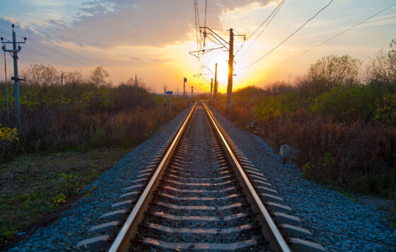 РЖД выплатит ущерб за сбитых поездом лосей в Пермском крае