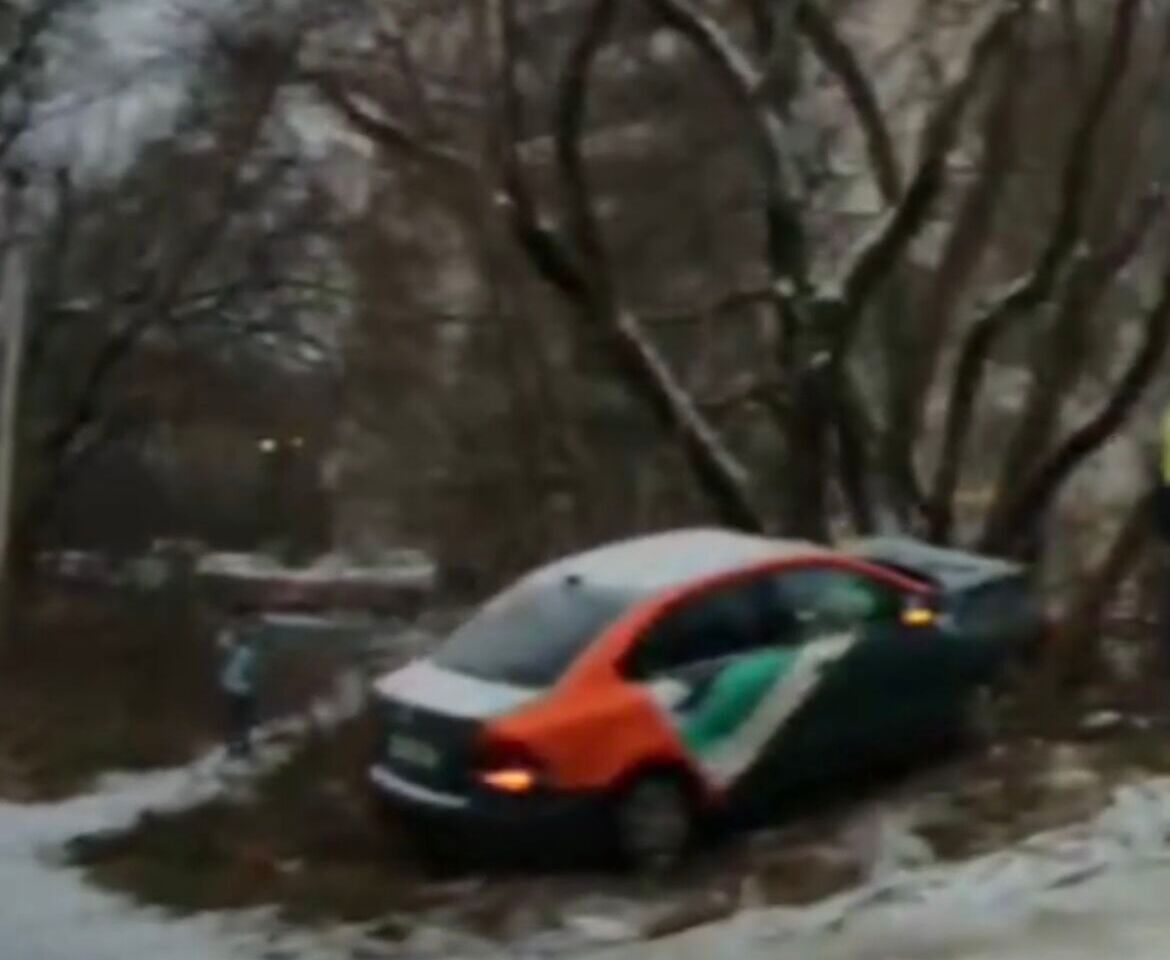В Перми каршеринг влетел в дерево