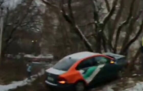 В Перми каршеринг влетел в дерево