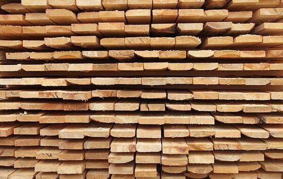 Прикамскую организацию оштрафовали за хранение заражённых пиломатериалов