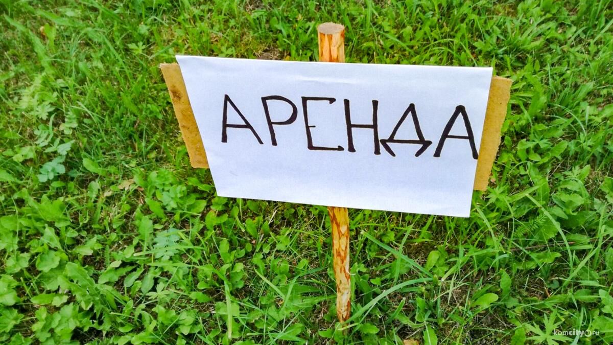 Свыше 40 нарушений допустили арендаторы муниципальных участков в Перми