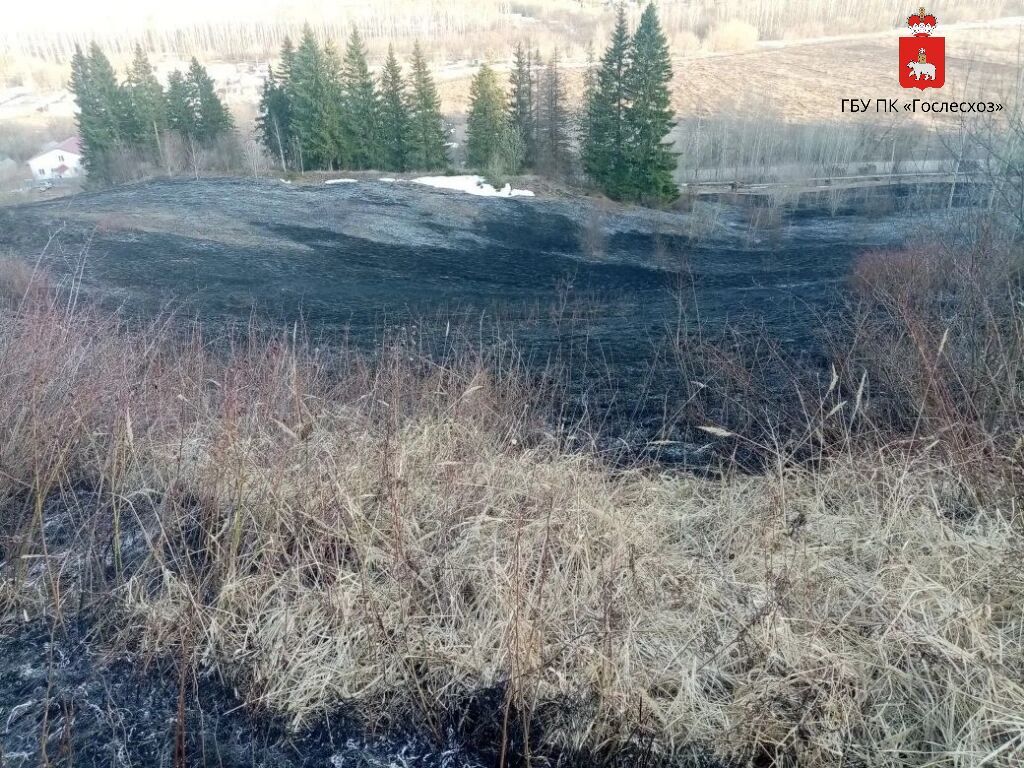 В Прикамье потушили первый лесной пожар