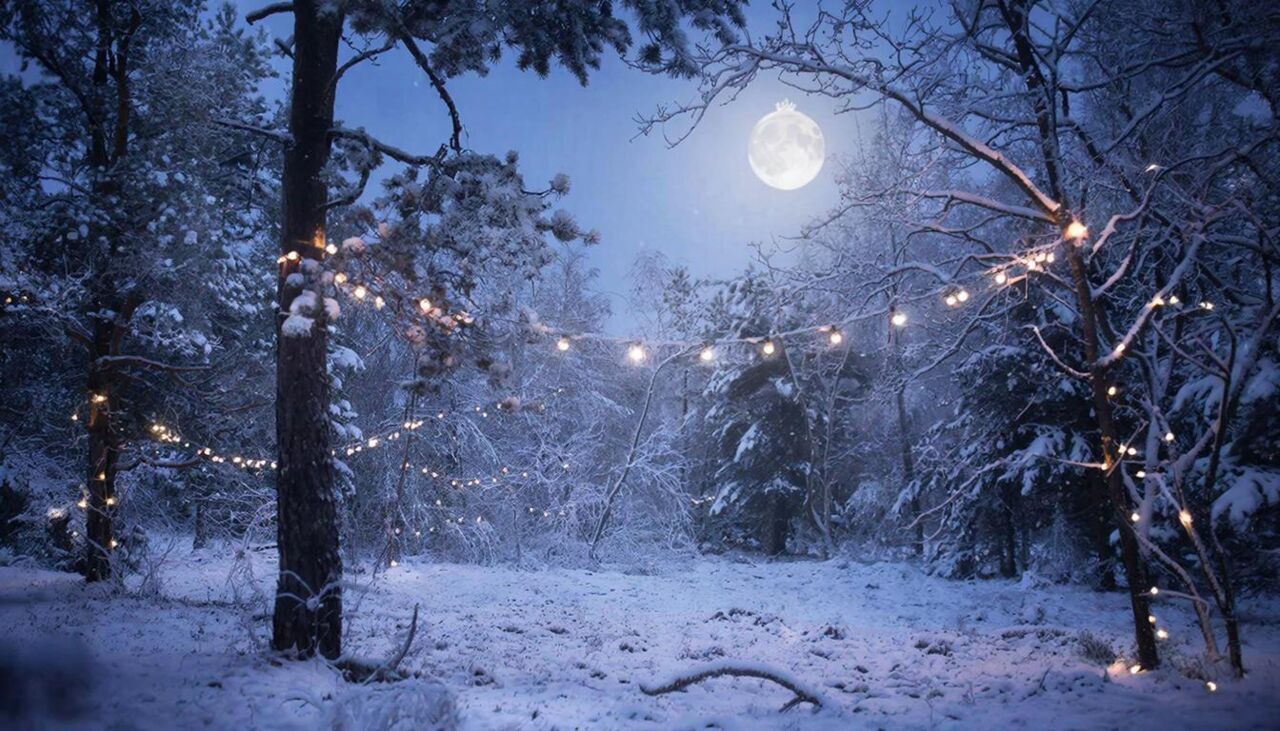 ​Афиша. Куда сходить в Перми с 9 по 15 февраля?