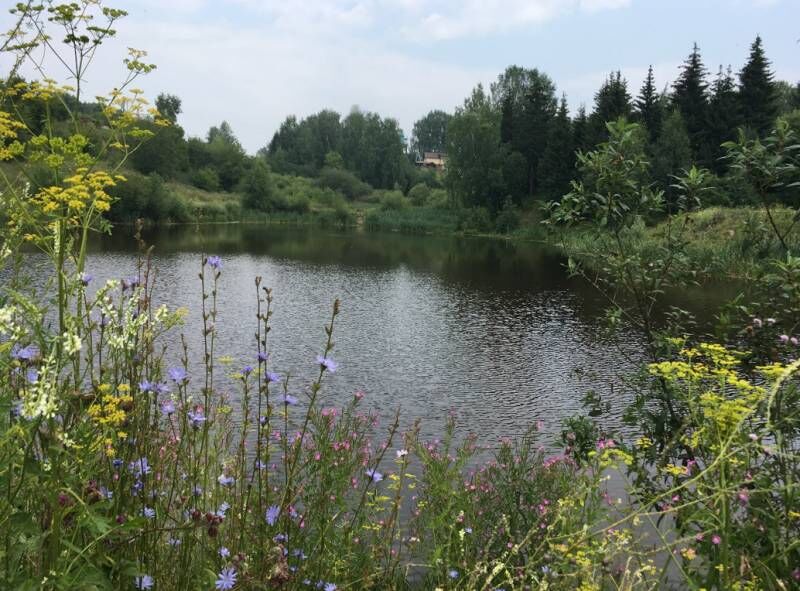 Жителям Перми предлагают выбрать варианты благоустройства Андроновских прудов