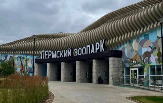 Уход за газонами в новом Пермском зоопарке оценили в 5 млн рублей  