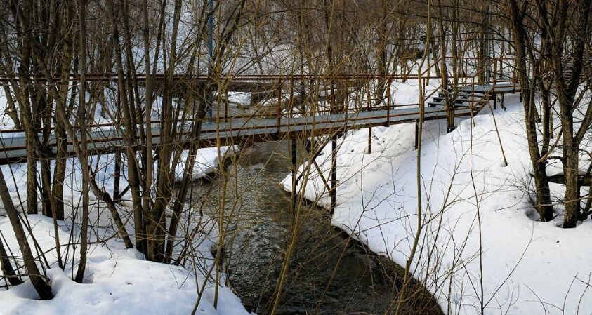 ​Пермяков просят не использовать воду из родников из-за паводка