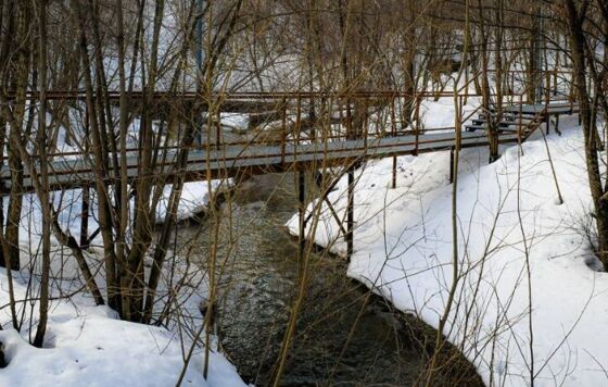 ​Пермяков просят не использовать воду из родников из-за паводка