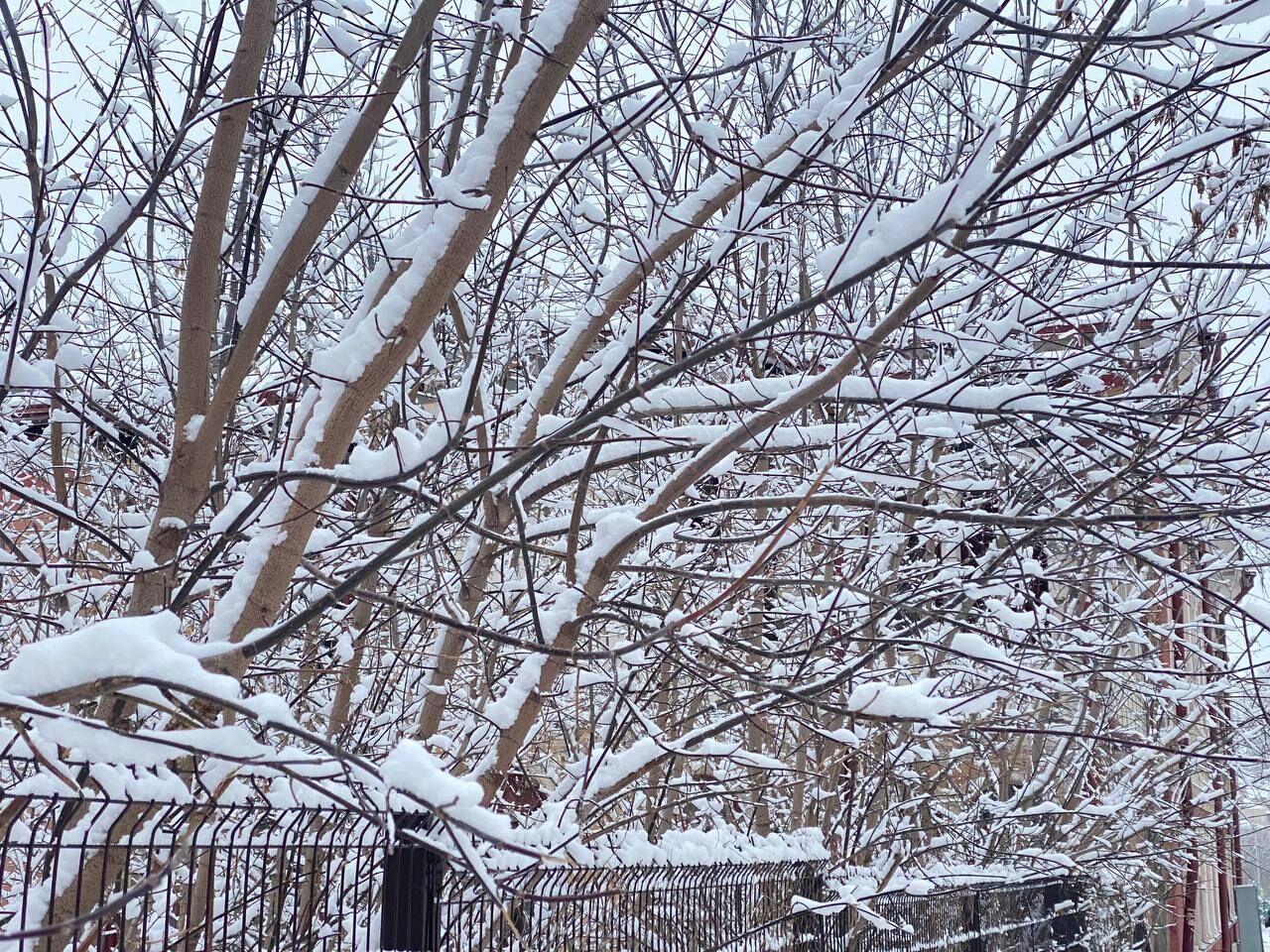 В Пермский край нагрянут морозы до -30 градусов