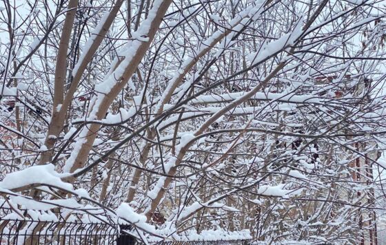 В Пермский край нагрянут морозы до -30 градусов