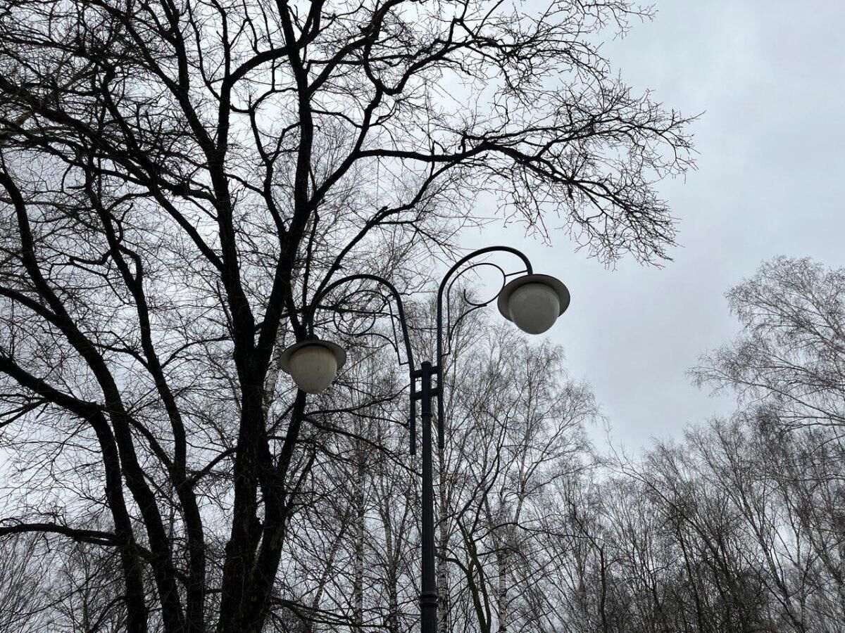 Уличные светильники в Пермь поставит компания из Москвы