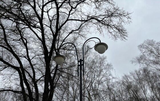 Уличные светильники в Пермь поставит компания из Москвы
