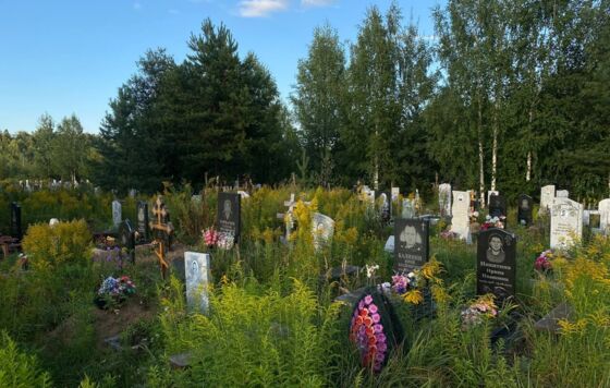 В прикамских Березниках вновь ищут подрядчика для строительства кладбища