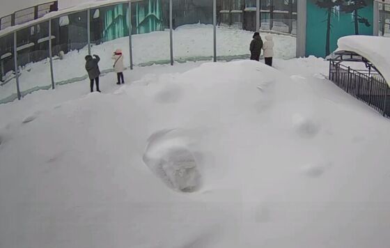 ​В Пермском зоопарке пытались закинуть медведям неизвестные таблетки